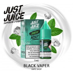 Compra Green 10ml de Just Juice Mint Range Salts con sabor a menta, hielo.